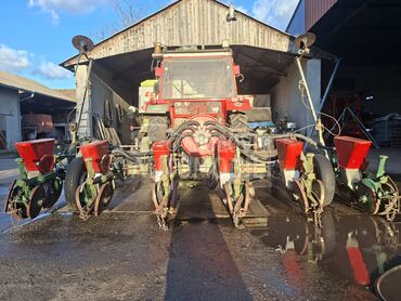 Nodet Pneumassem olt nodet