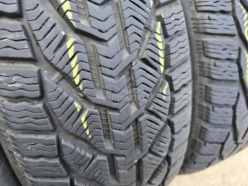 Riken 215/55 R17 Zimska
