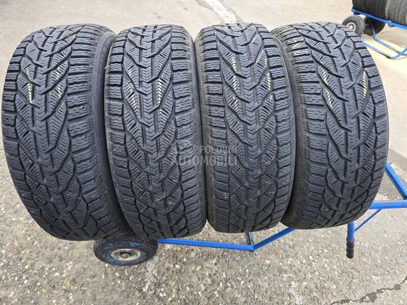 Riken 215/55 R17 Zimska