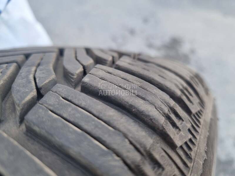 Michelin 195/65 R15 Zimska