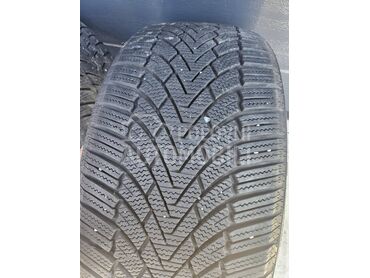 Roadstone 245/40 R20 Zimska