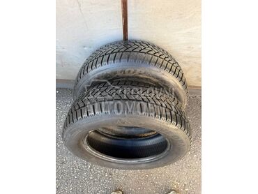 Dunlop 205/60 R16 Zimska