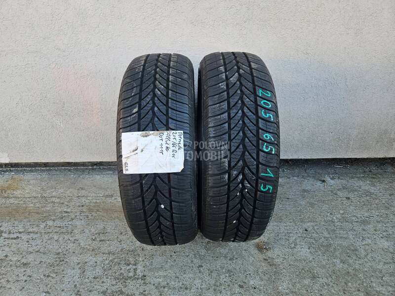 Ostalo 205/65 R15 Sve sezone