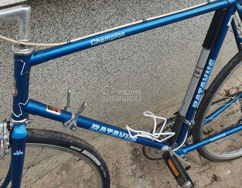BATAVUS CHAMPION 2X6