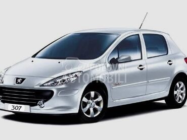 BRANIK/HAUBA/KRILA/FAROVI za Peugeot 307 od 2001. do 2007. god.