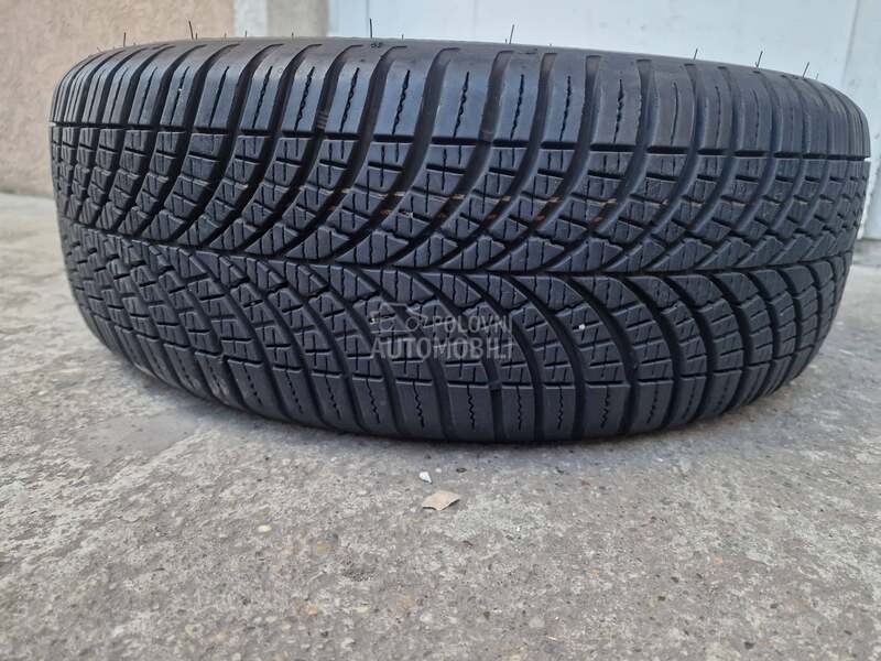 Goodyear 195/55 R16 Sve sezone
