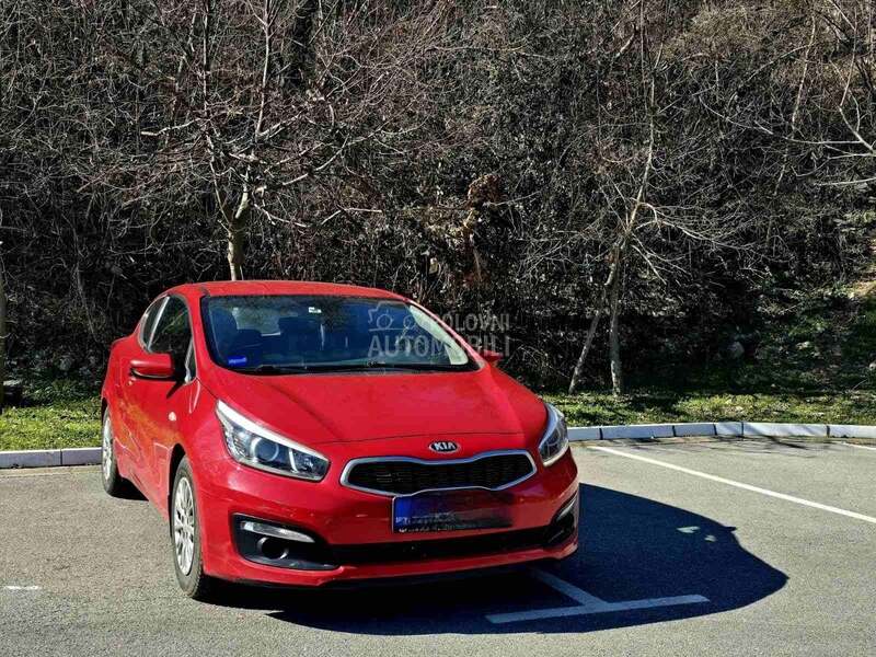 Kia pro_cee`d 