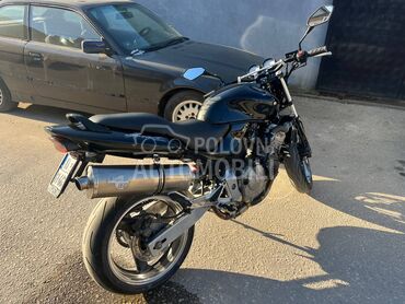 Honda hornet 600