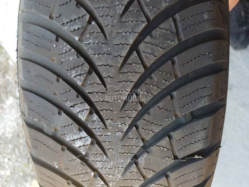 Waterfall 185/65 R15 Zimska