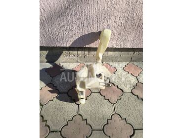 Posuda za brisace za Volkswagen Passat B5.5