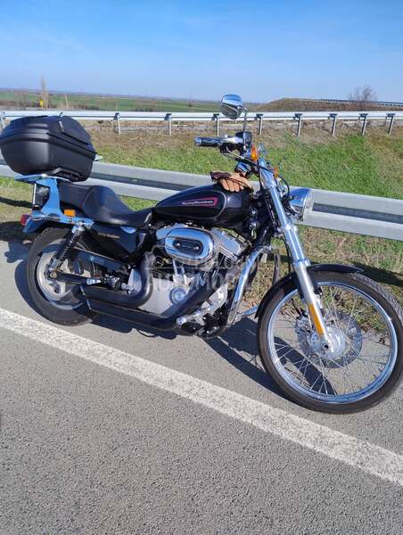 Harley Davidson Sportster XL883C