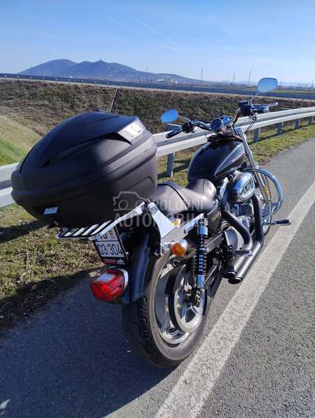 Harley Davidson Sportster XL883C