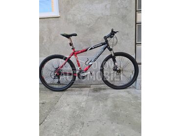 Bicikl Capriolo Komodo