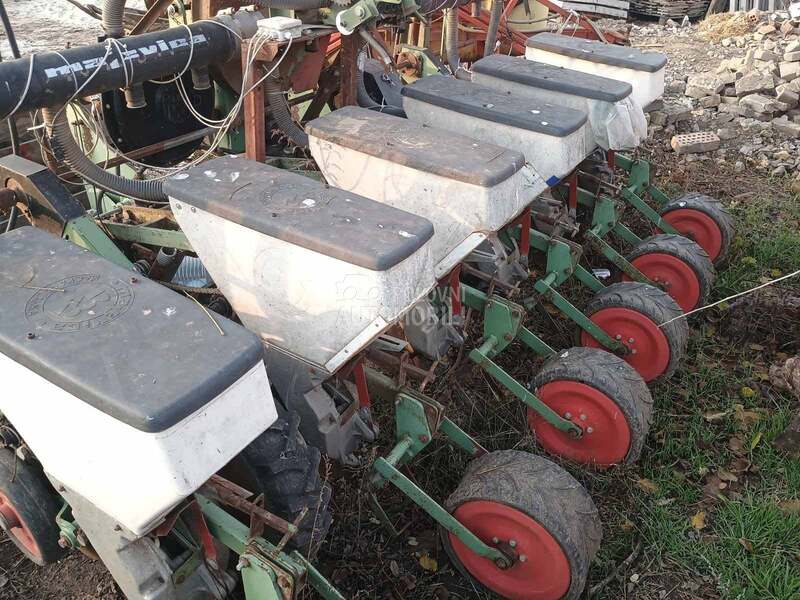 Majevica maja kukuruz