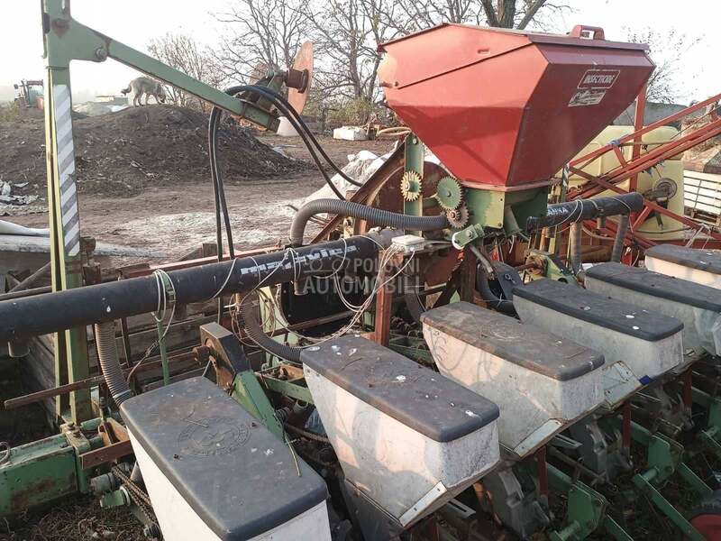 Majevica maja kukuruz