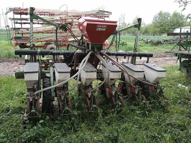 Majevica maja kukuruz