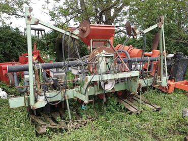 Majevica maja kukuruz