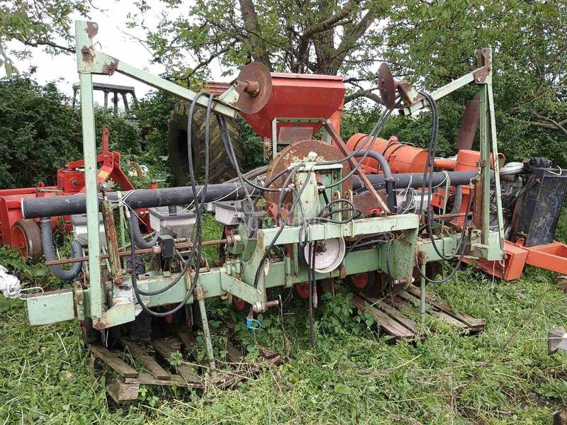 Majevica maja kukuruz