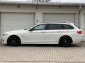 BMW 520 D184/WhiteBlack