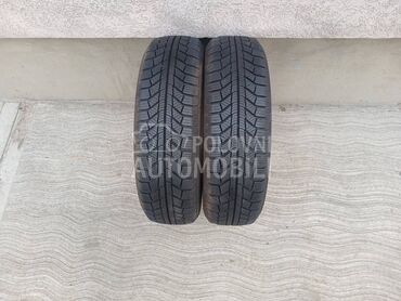 Platin Germany 165/70 R14 Zimska