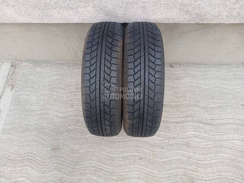 Platin Germany 165/70 R14 Zimska
