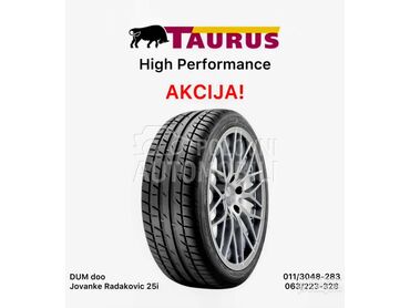 Taurus 225/50 R17 Zimska