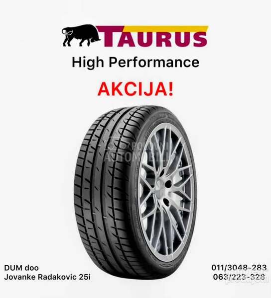 Taurus 225/50 R17 Zimska