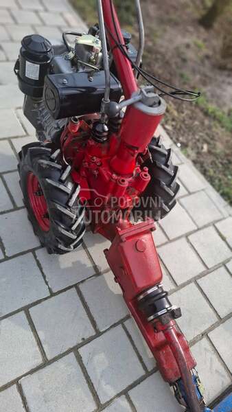 Goldoni Gorenje muta