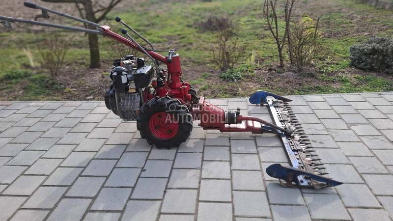 Goldoni Gorenje muta