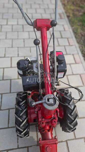 Goldoni Gorenje muta