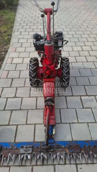 Goldoni Gorenje muta