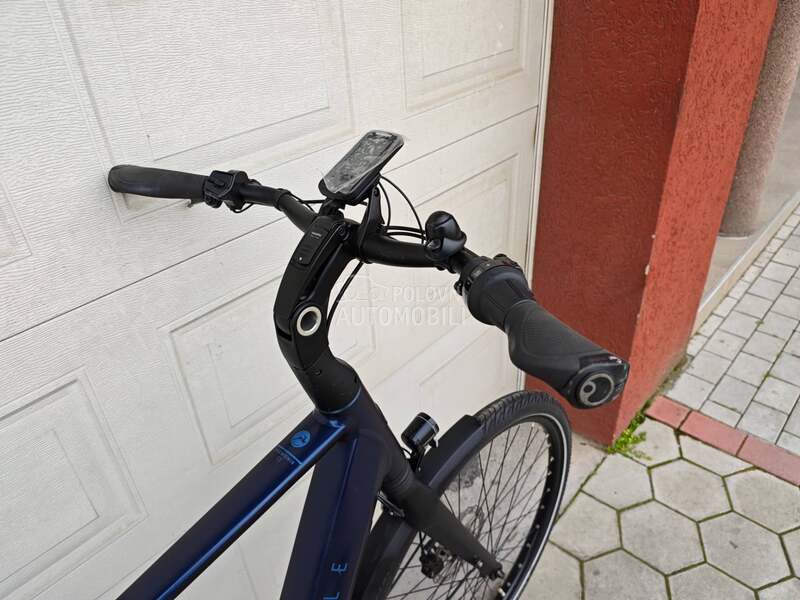 Gazelle Gazela KAIS KARBON