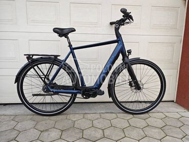 Gazelle Gazela KAIS KARBON