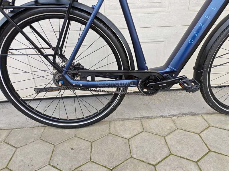 Gazelle Gazela KAIS KARBON