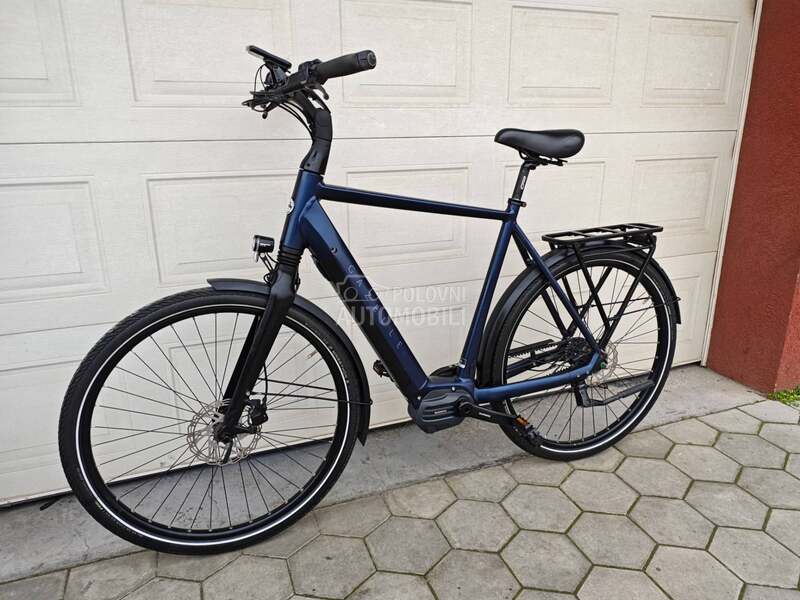 Gazelle Gazela KAIS KARBON