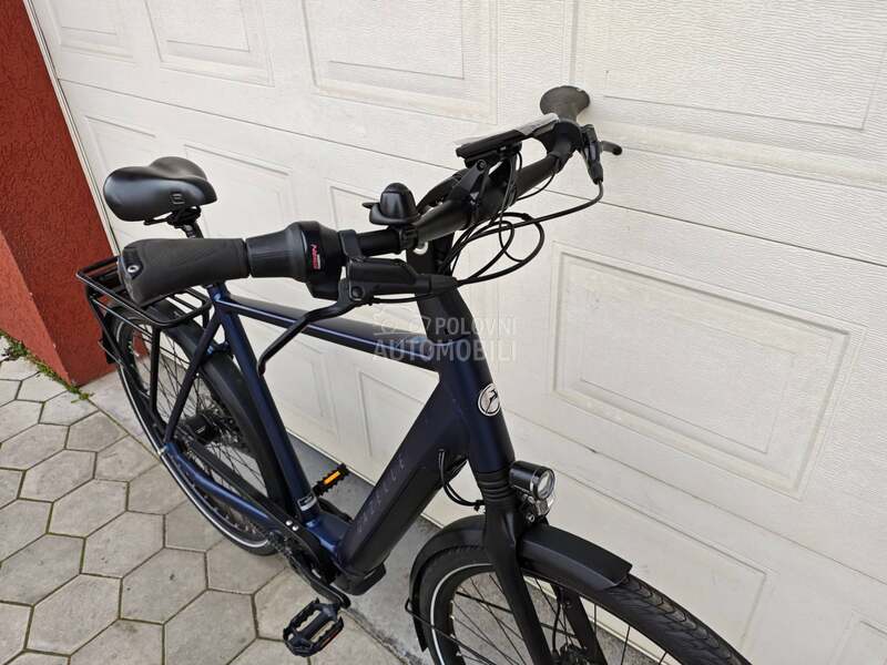 Gazelle Gazela KAIS KARBON