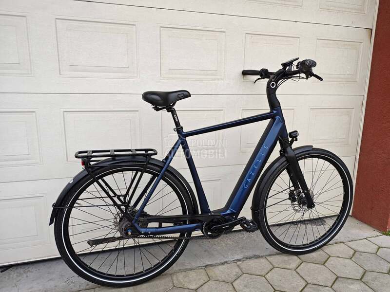 Gazelle Gazela KAIS KARBON