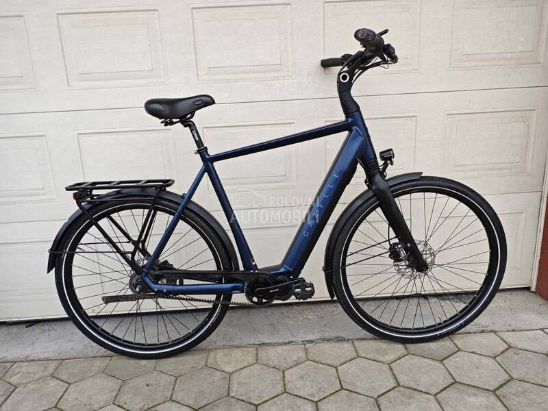 Gazelle Gazela KAIS KARBON