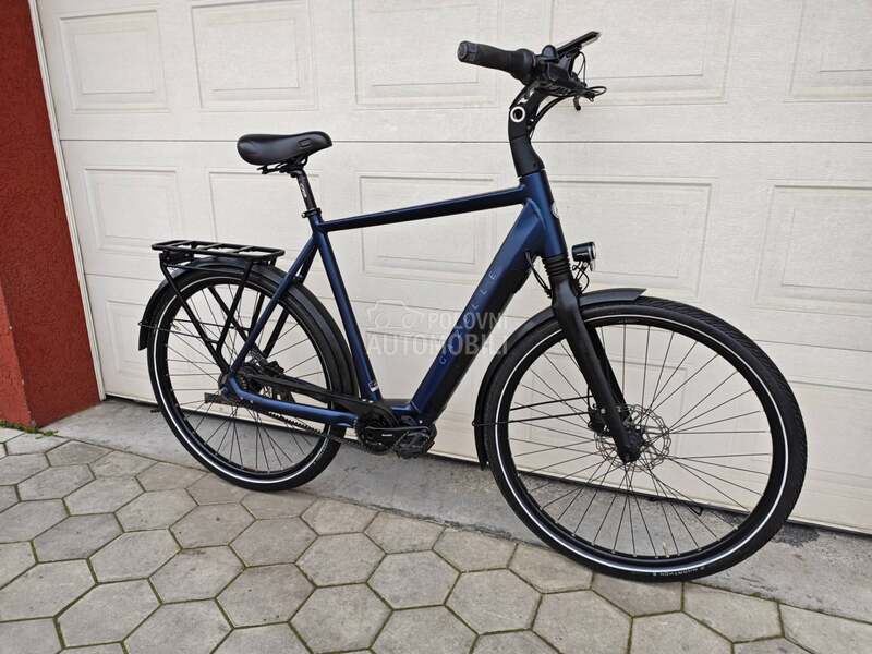 Gazelle Gazela KAIS KARBON