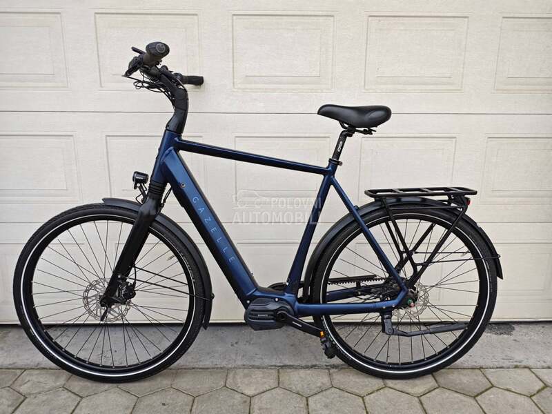 Gazelle Gazela KAIS KARBON