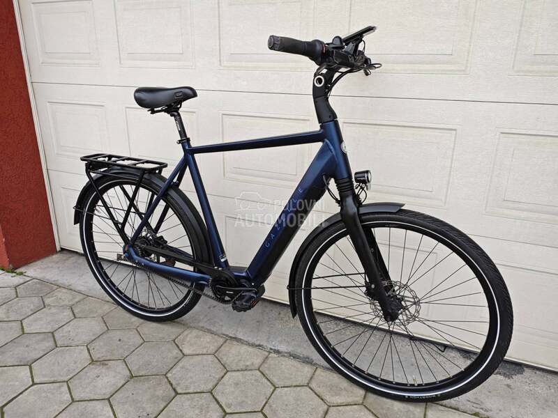 Gazelle Gazela KAIS KARBON