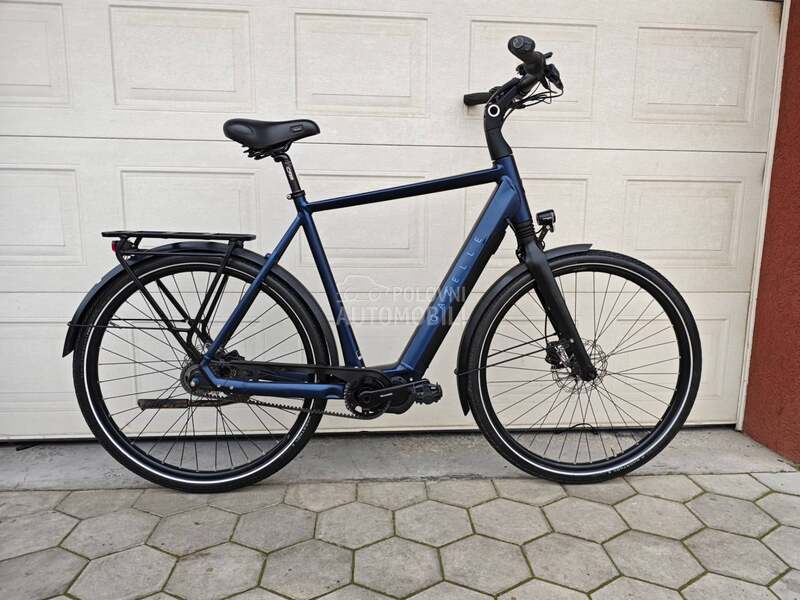 Gazelle Gazela KAIS KARBON