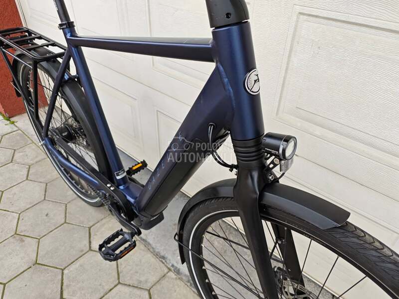 Gazelle Gazela KAIS KARBON