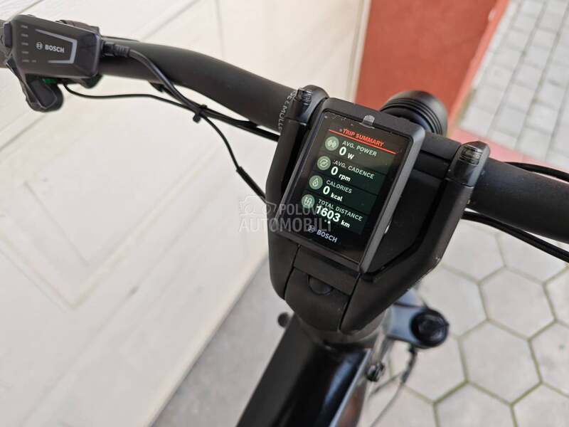 Riesu Muller Charger KAIS