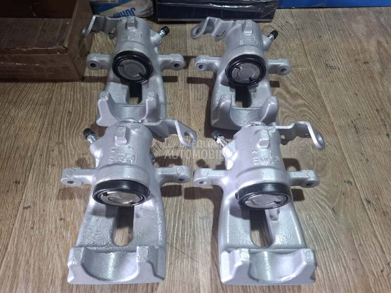 kociona klesta zadnja