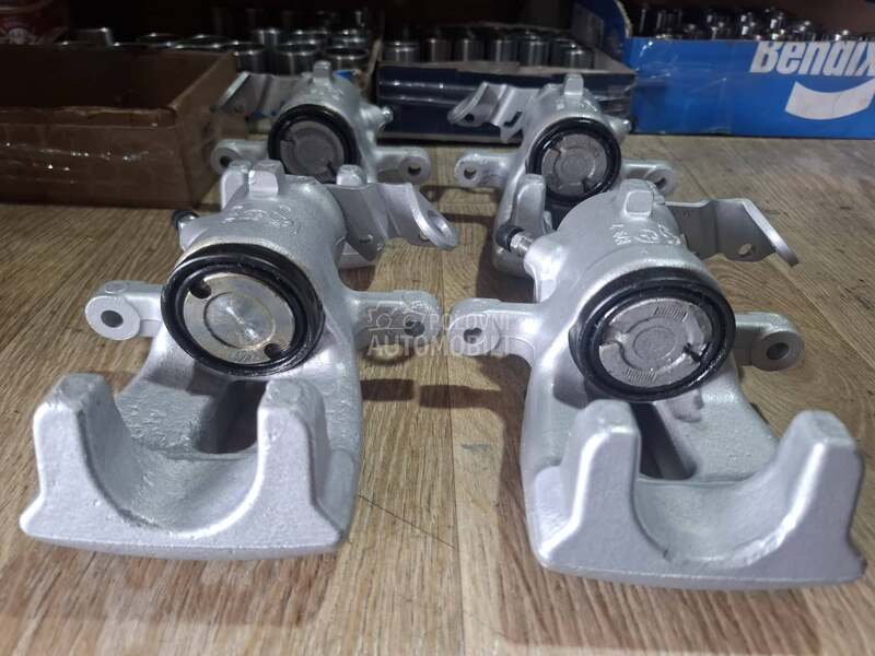 kociona klesta zadnja