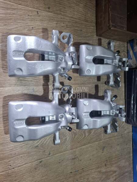 kociona klesta zadnja