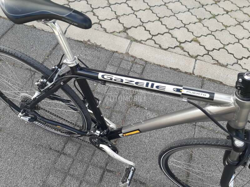Gazelle Puerto