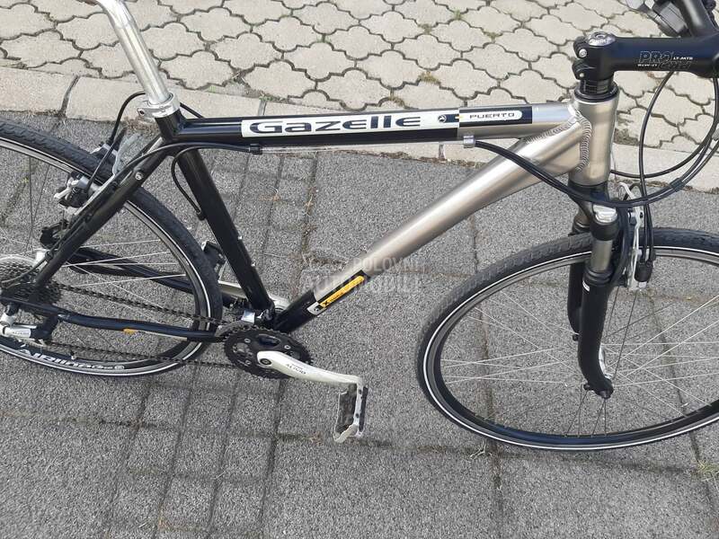 Gazelle Puerto