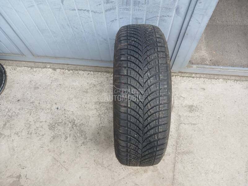 Goodyear 195/65 R15 Zimska